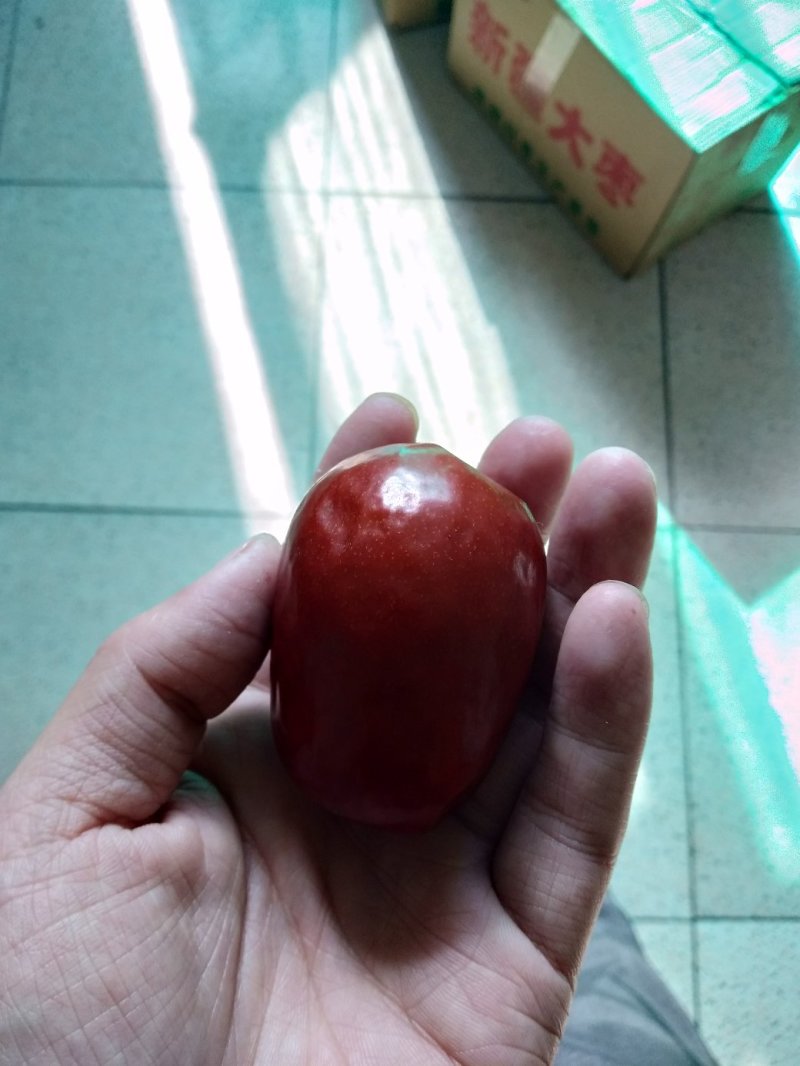 红枣