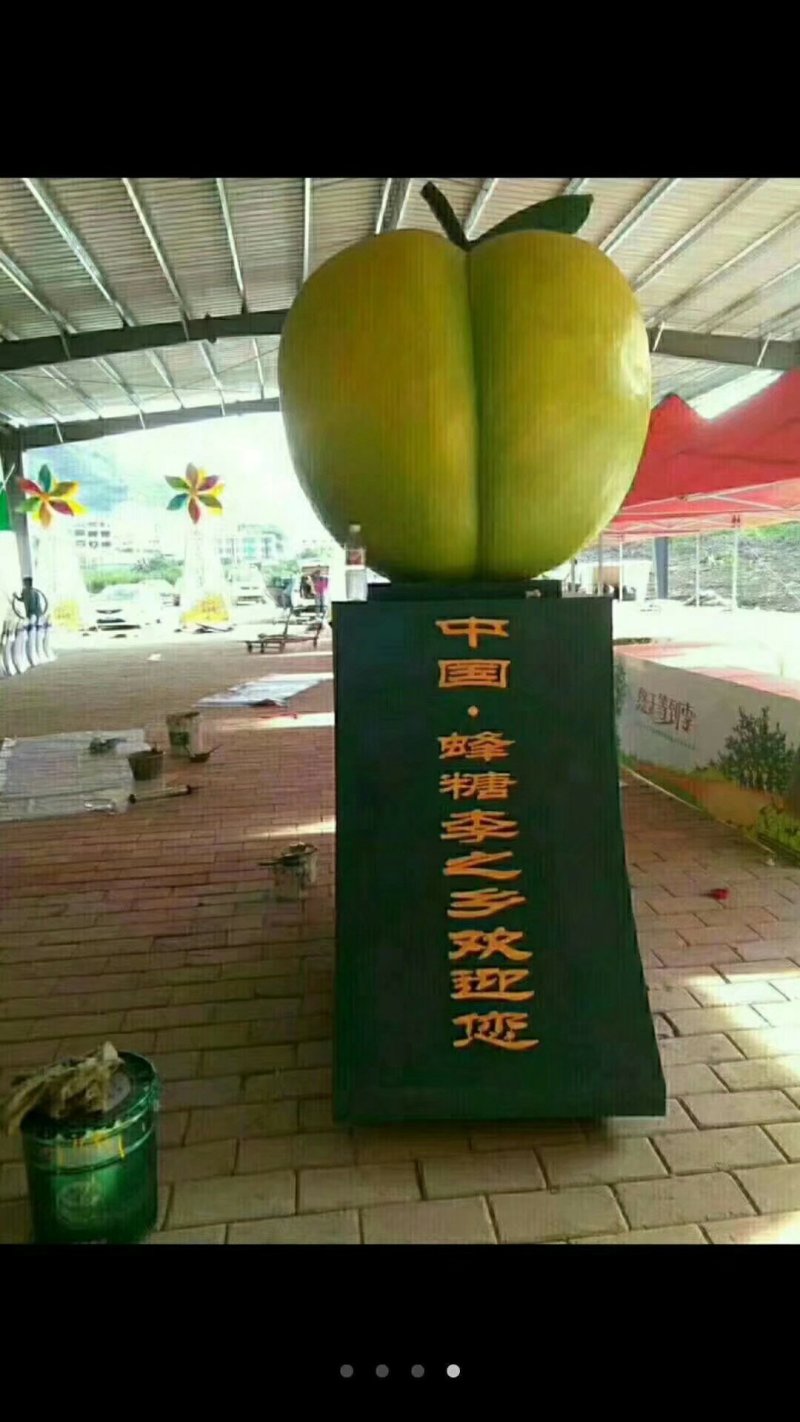 蜂糖李子苗免费提供技术指导