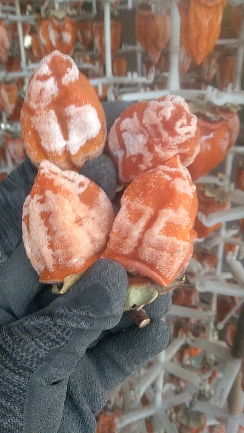 本人有优质富平庄里柿饼一万多斤，求售