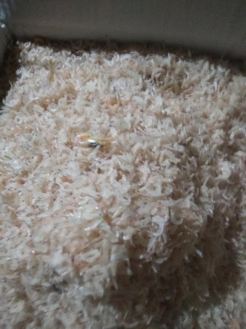 有盐虾皮