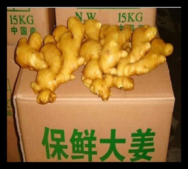 湖南生姜种子小黄姜产地批发货源足价格低全国接单发货