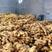 安徽生姜种产地批发大黄姜小黄大量有货全国接单发货