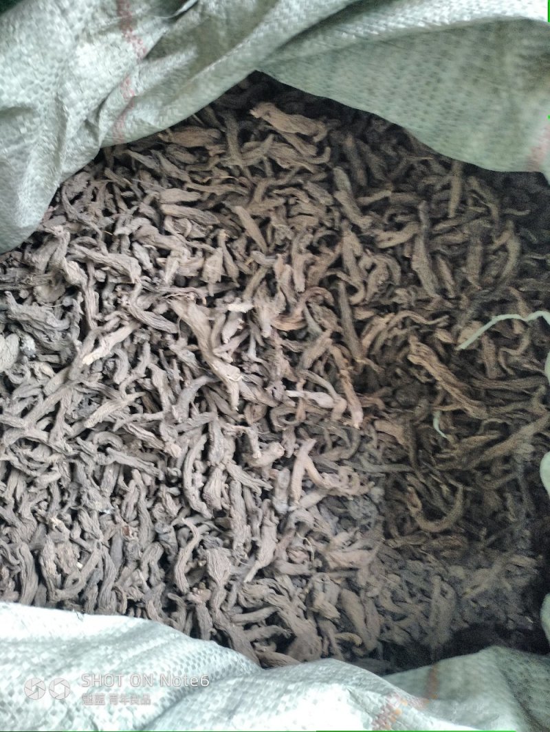 红大戟