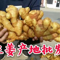 山西生姜姜母小黄姜鲜姜质量好大量批发全国接单发货