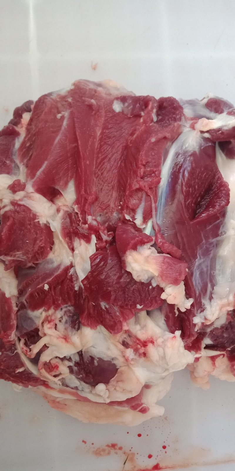 羔羊肉