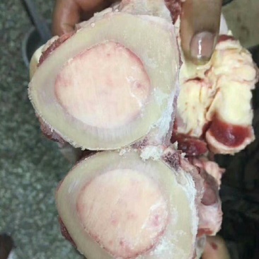 全牛棒骨