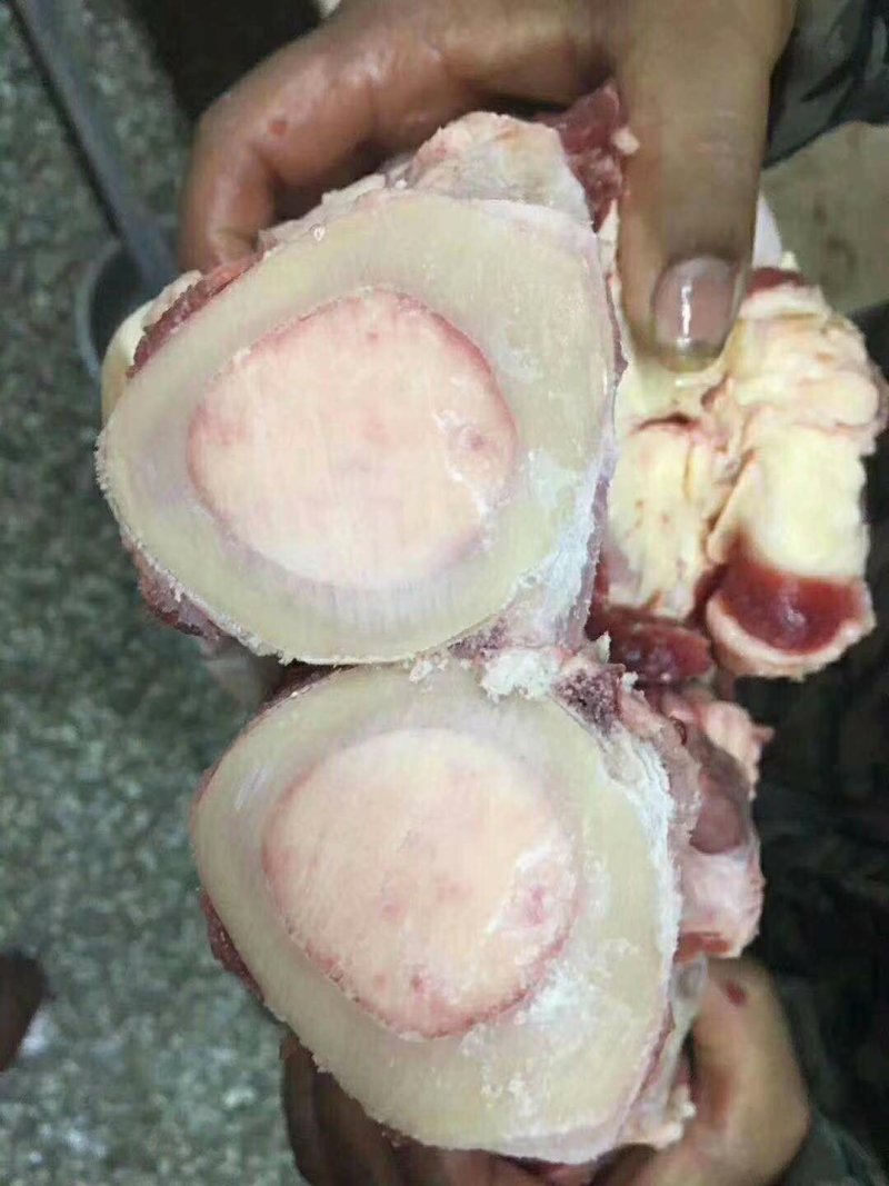 全牛棒骨