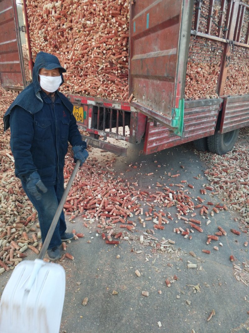 玉米芯