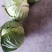 圆包菜，颜色纯绿，甘蓝1～2斤，包的瓷实，