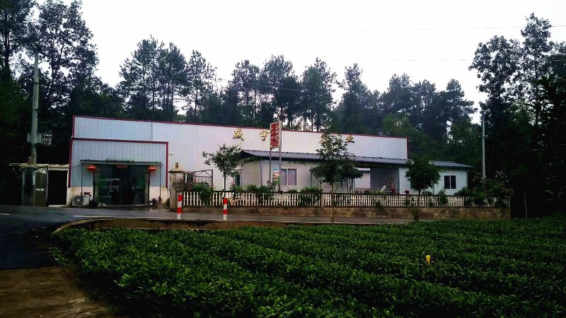 玫瑰花红茶【袋泡茶】买三送一包邮
