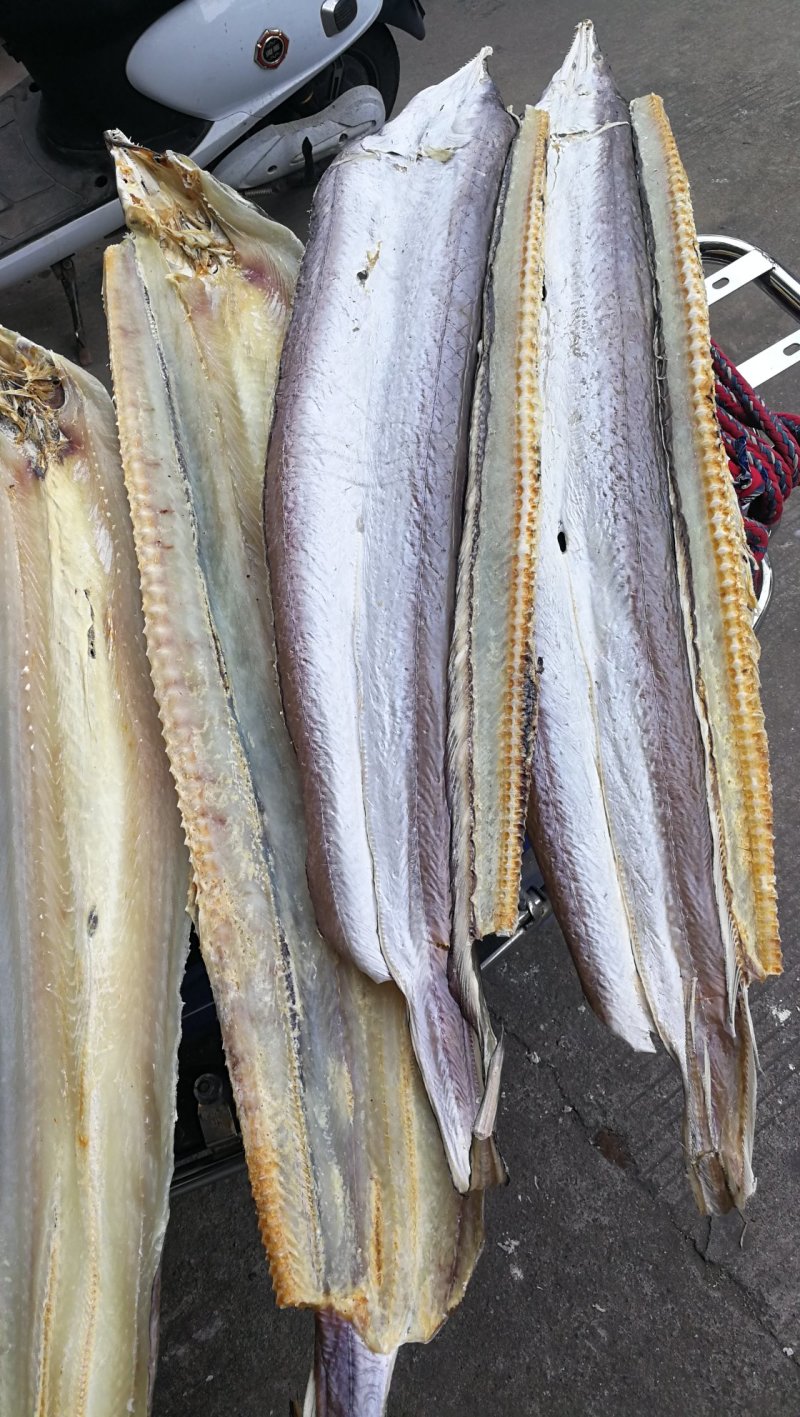 深海大鳗鱼干黄门鳝鳝巴鳝鱼干麻鳝麻鱼干