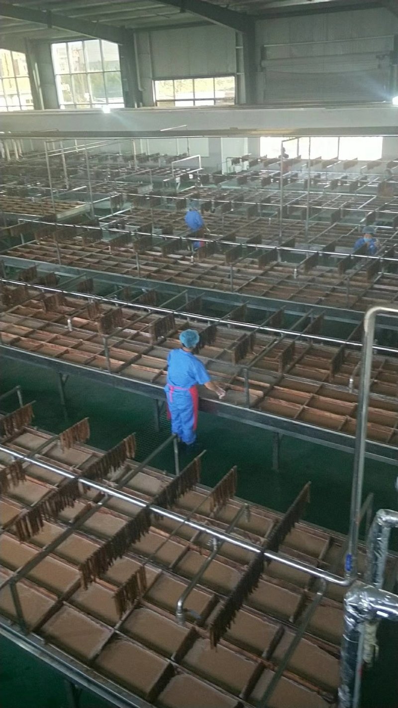 黑豆腐竹手工腐皮凉拌炒菜火锅腐竹