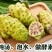 海南诺丽果