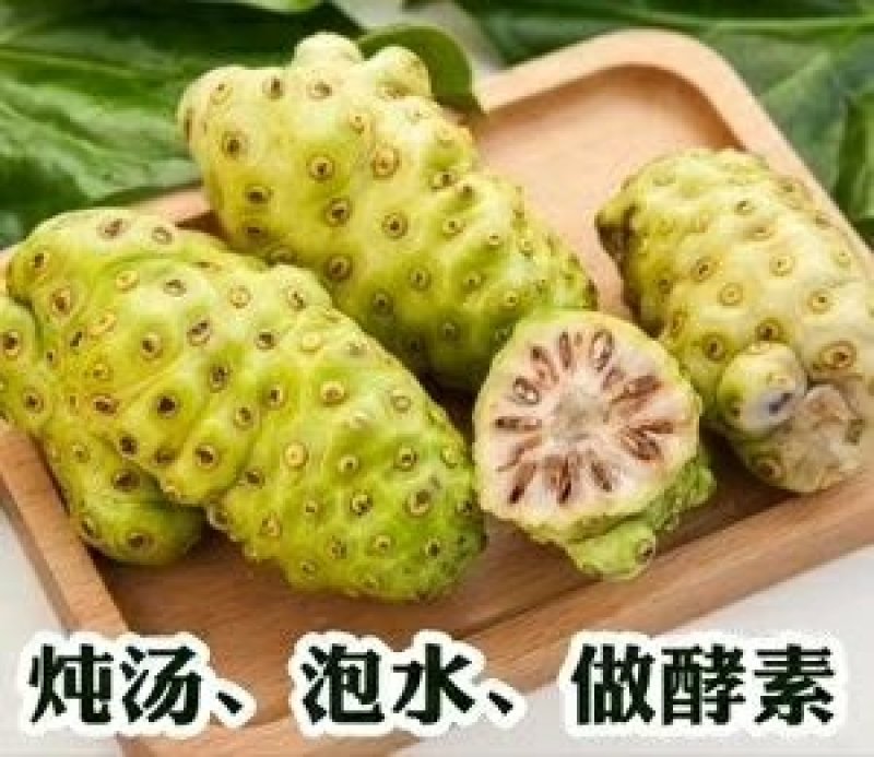 海南诺丽果
