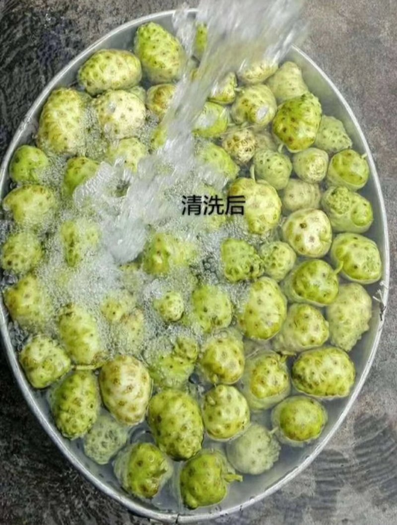 海南诺丽果