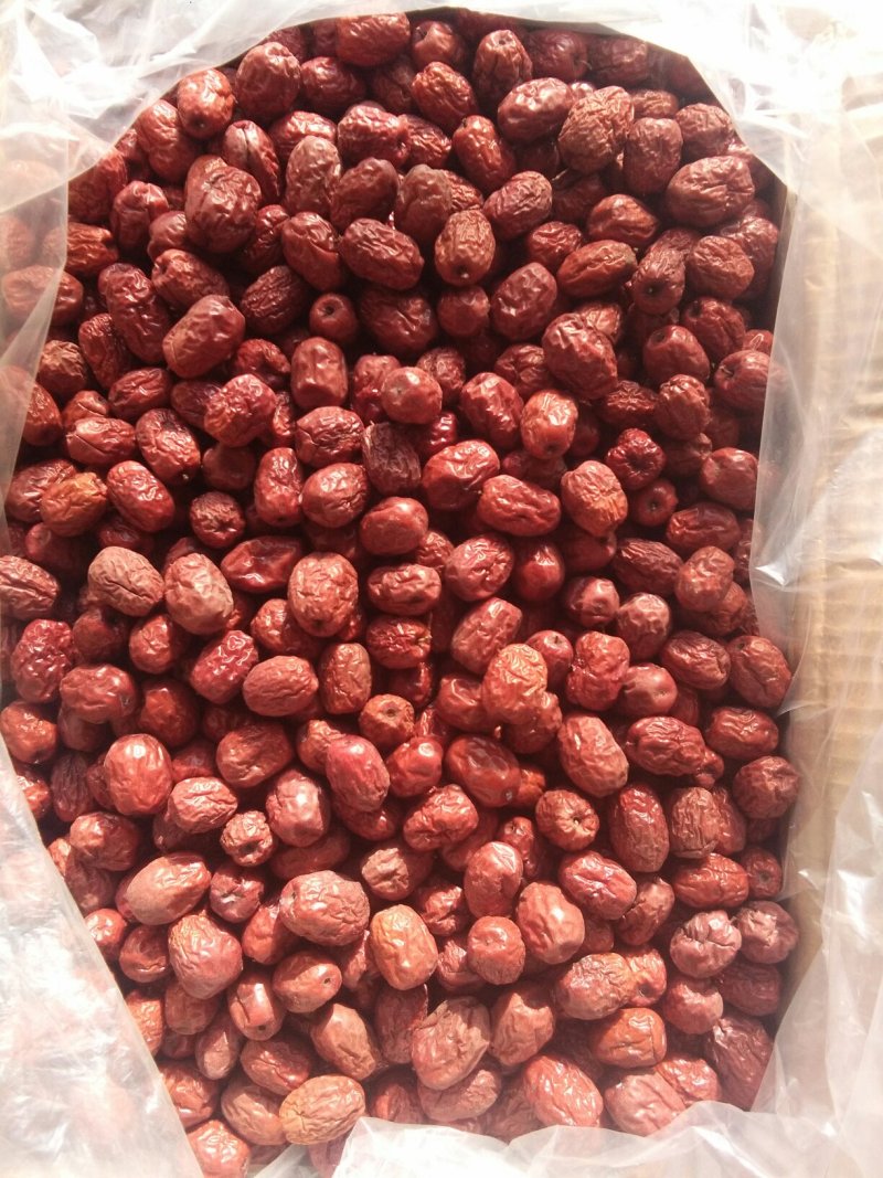 金丝小枣