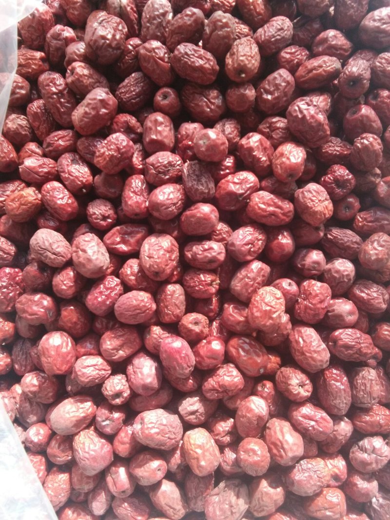 金丝小枣
