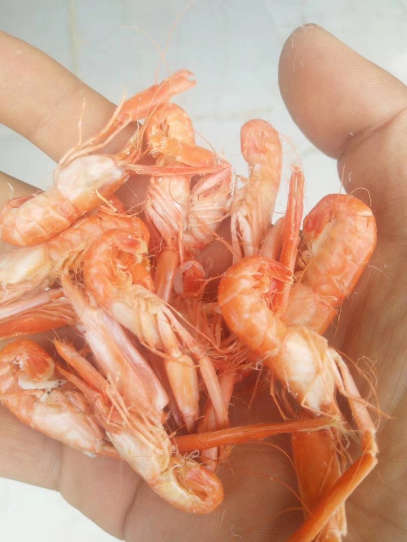 抓虾