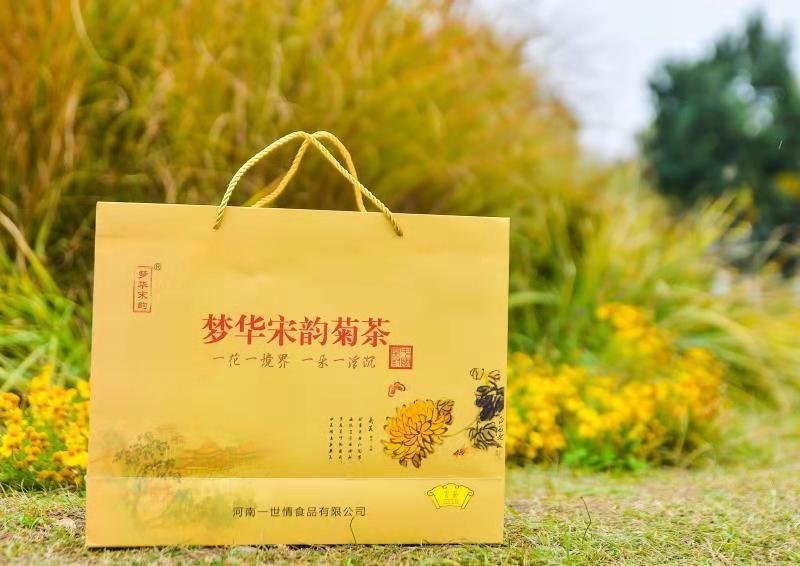 大量出售金丝皇菊