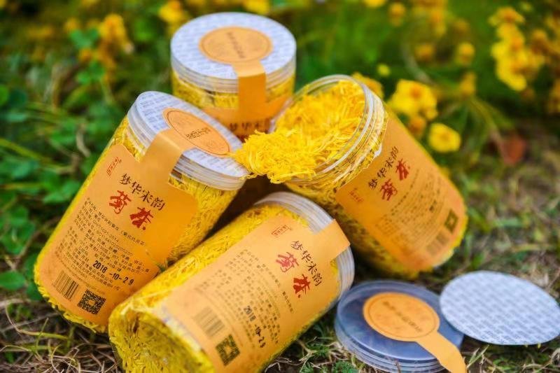 大量出售金丝皇菊