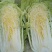 【牛商推荐】北京三号山东大白菜产地直供