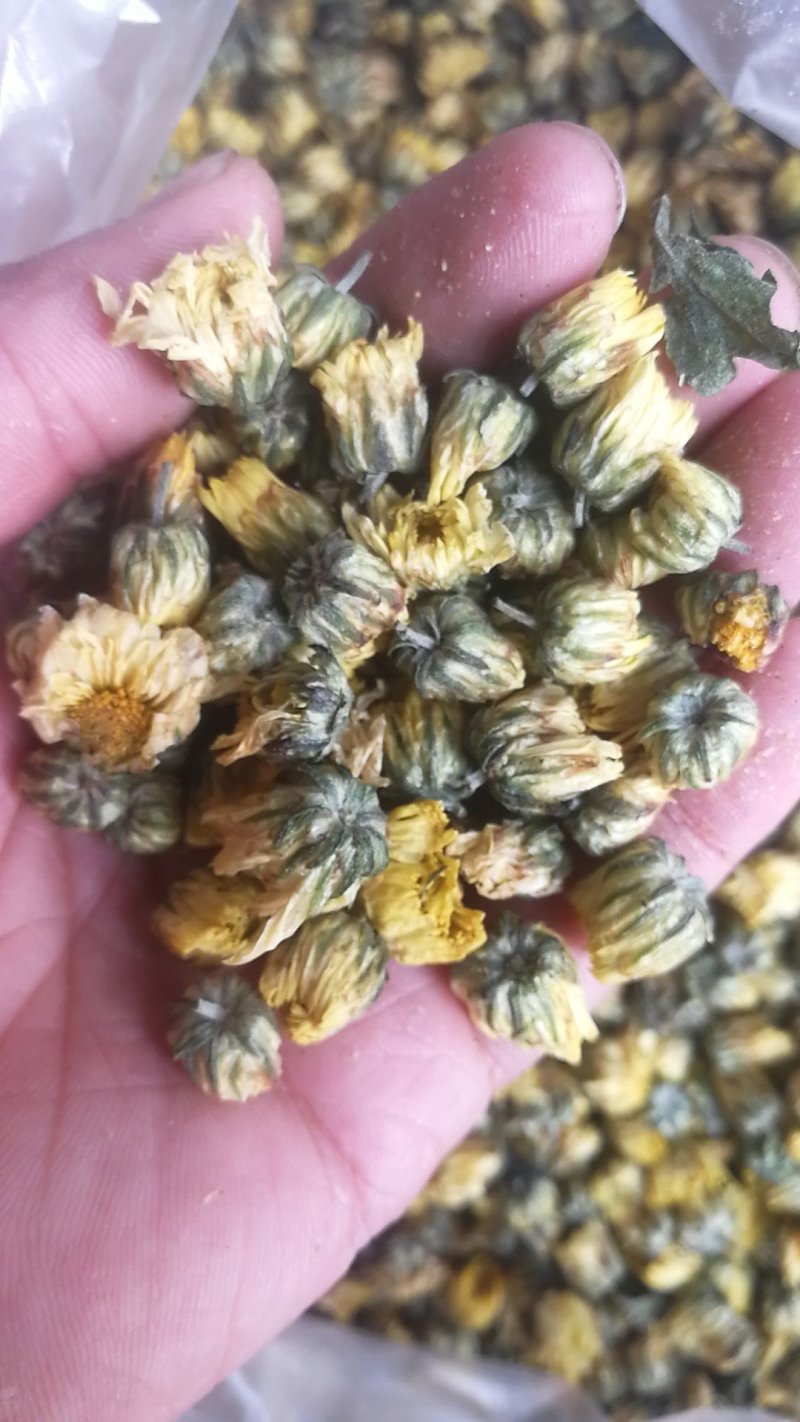 菊花