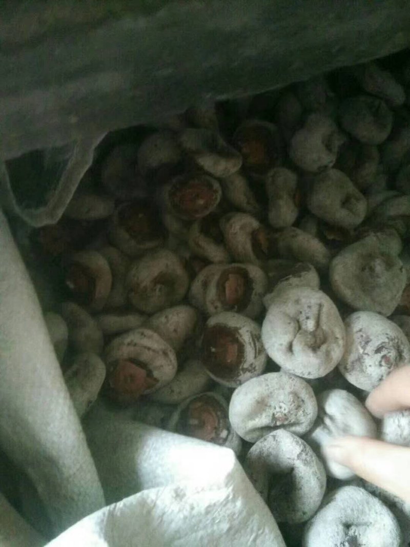 柿饼，产地直销，看货论价，品质把控，长期供货