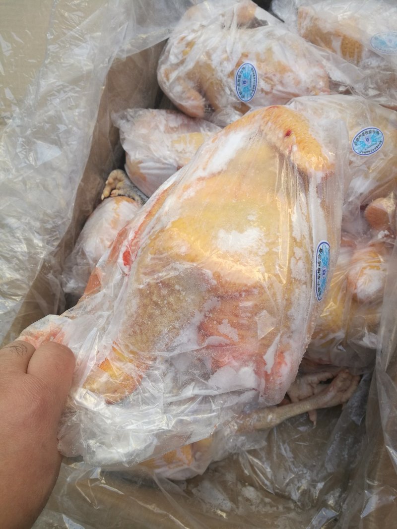 黄油老鸡