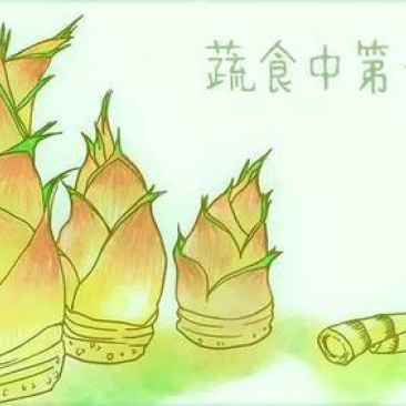 现挖的野生冬笋