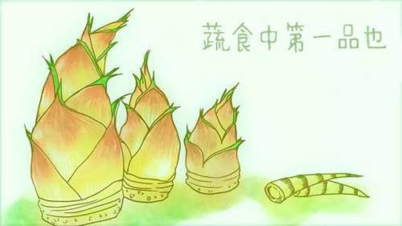 现挖的野生冬笋