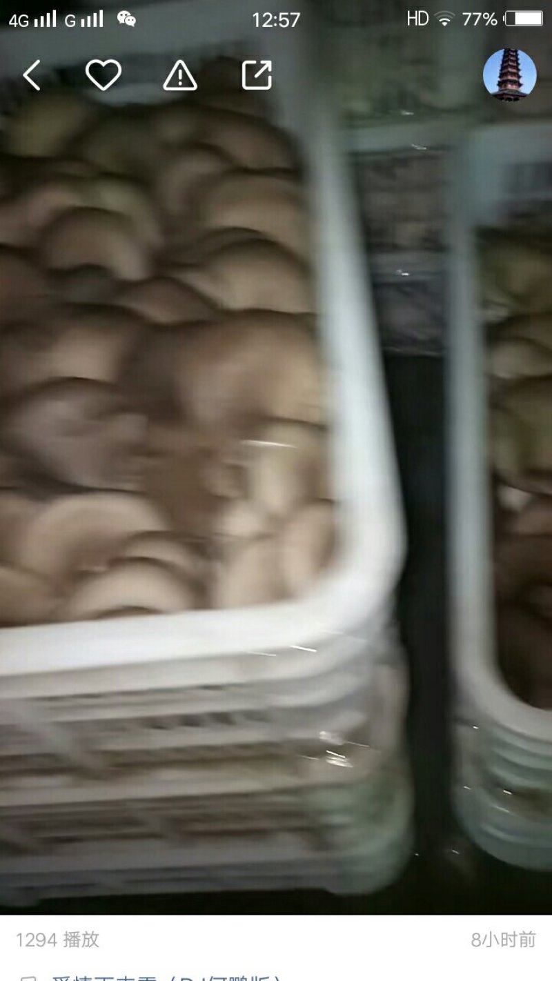 食用菌鲜货找客商