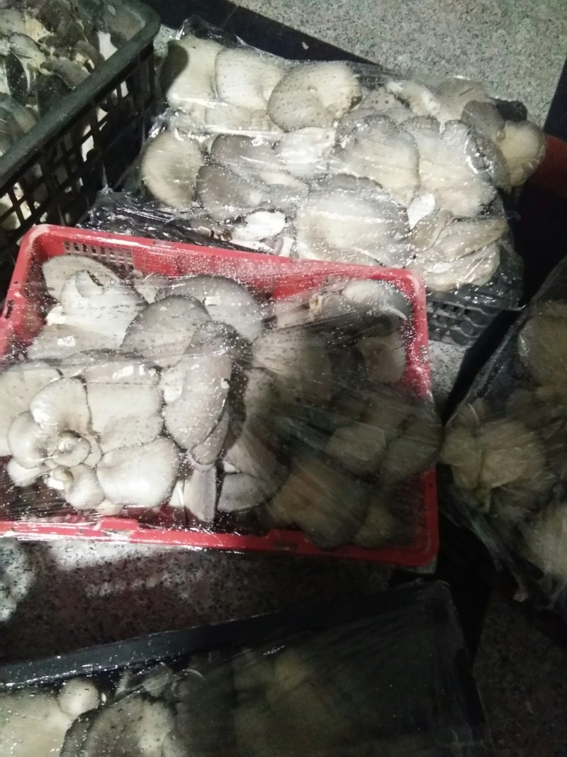 食用菌鲜货找客商