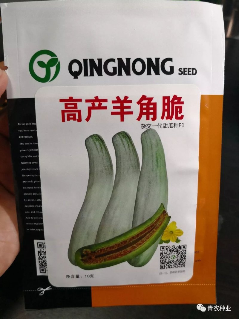 酥脆高产羊角脆酥脆可口，抗病丰产！