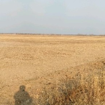 土地转让