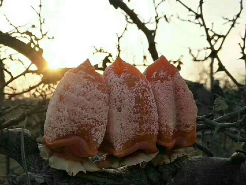 富平庄里柿饼量大从优