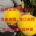 锦绣，锦春，金品种正宗，丰产易成活，死苗来年补发