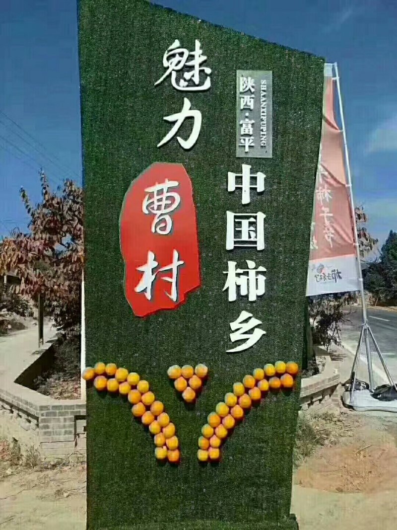 陕西省富平县曹村镇贾坡村自产自销农家柿饼