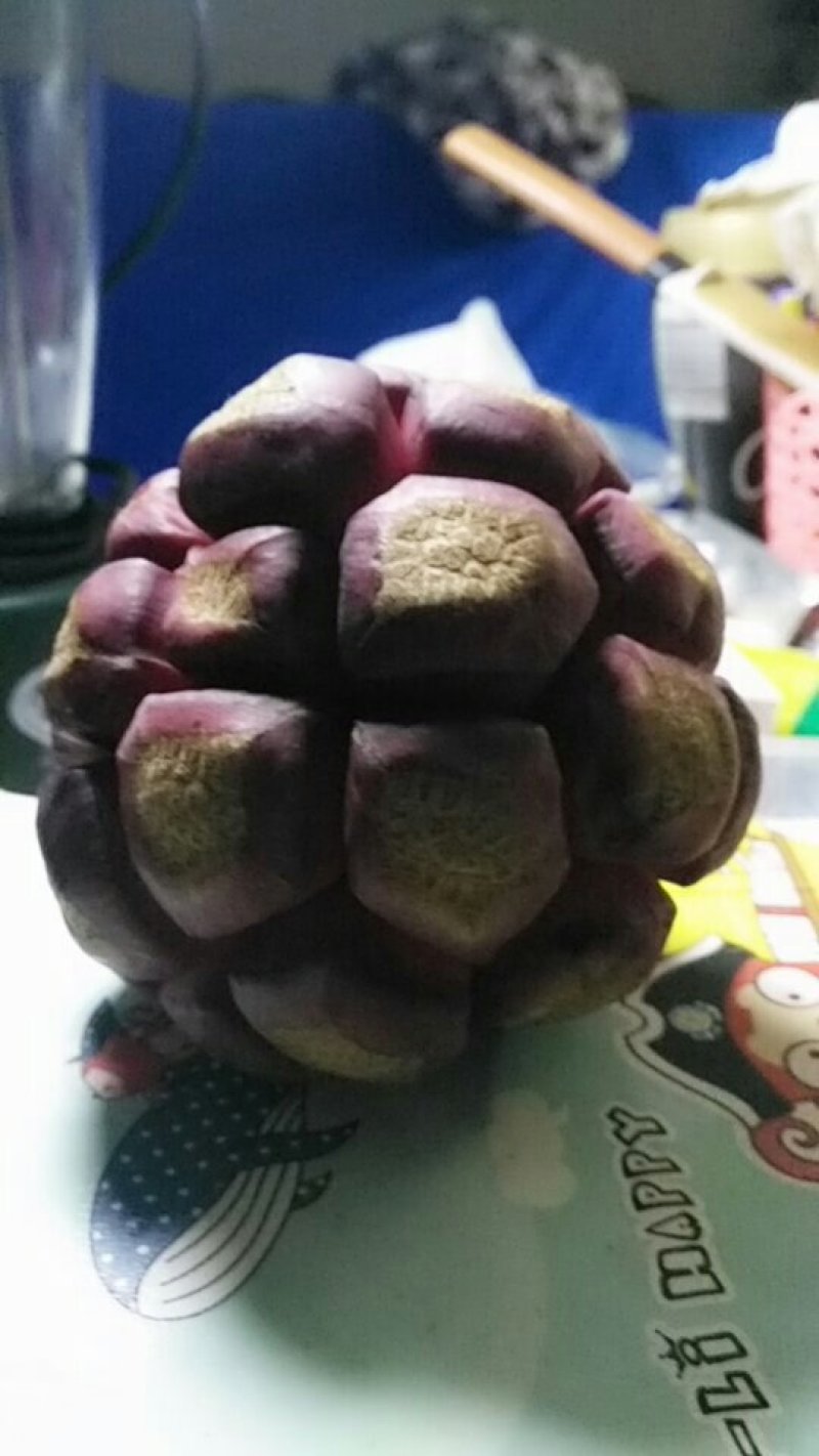 布福娜成品果