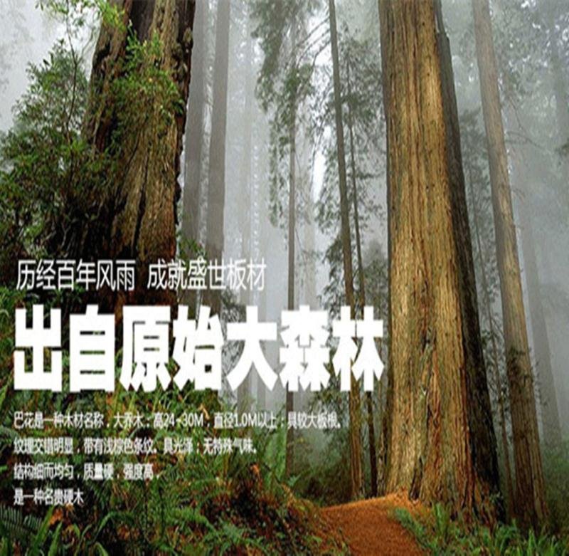 越南红铁木