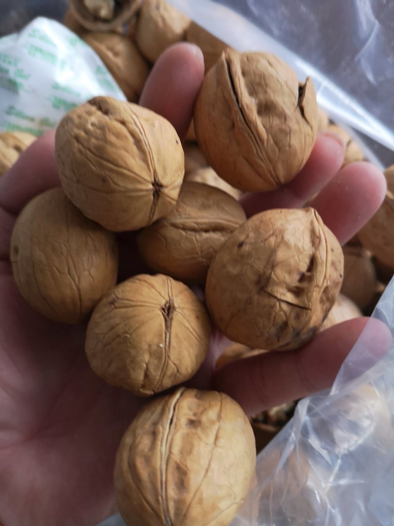 新疆熟核桃