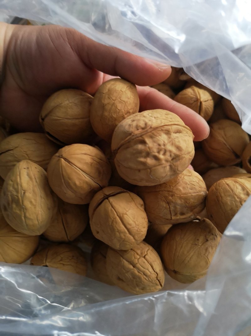 新疆熟核桃