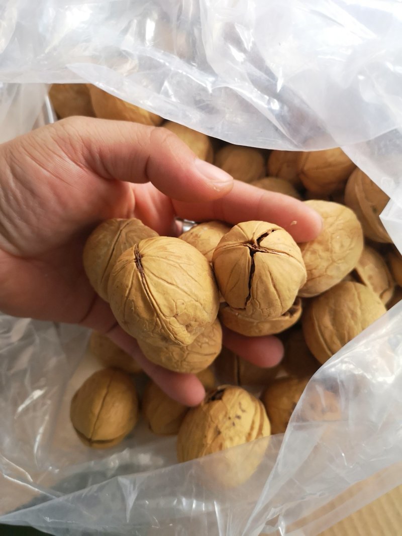新疆熟核桃