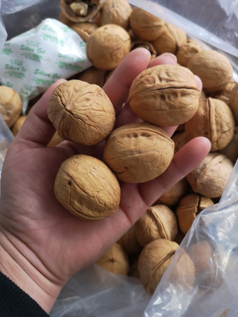 新疆熟核桃