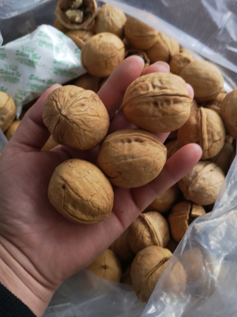 新疆熟核桃