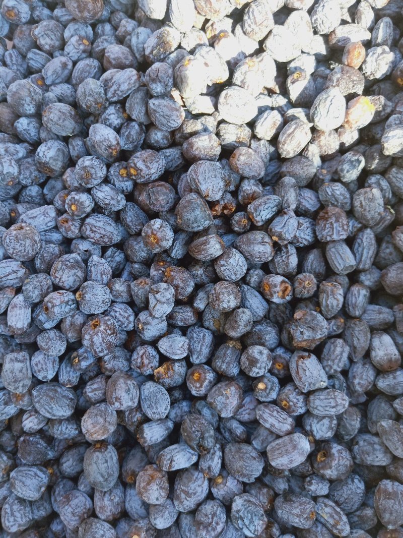 黑枣