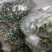 真空低温脱水原色罗汉果(甘甜，无焦味，本生产年新果）