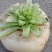盘菜