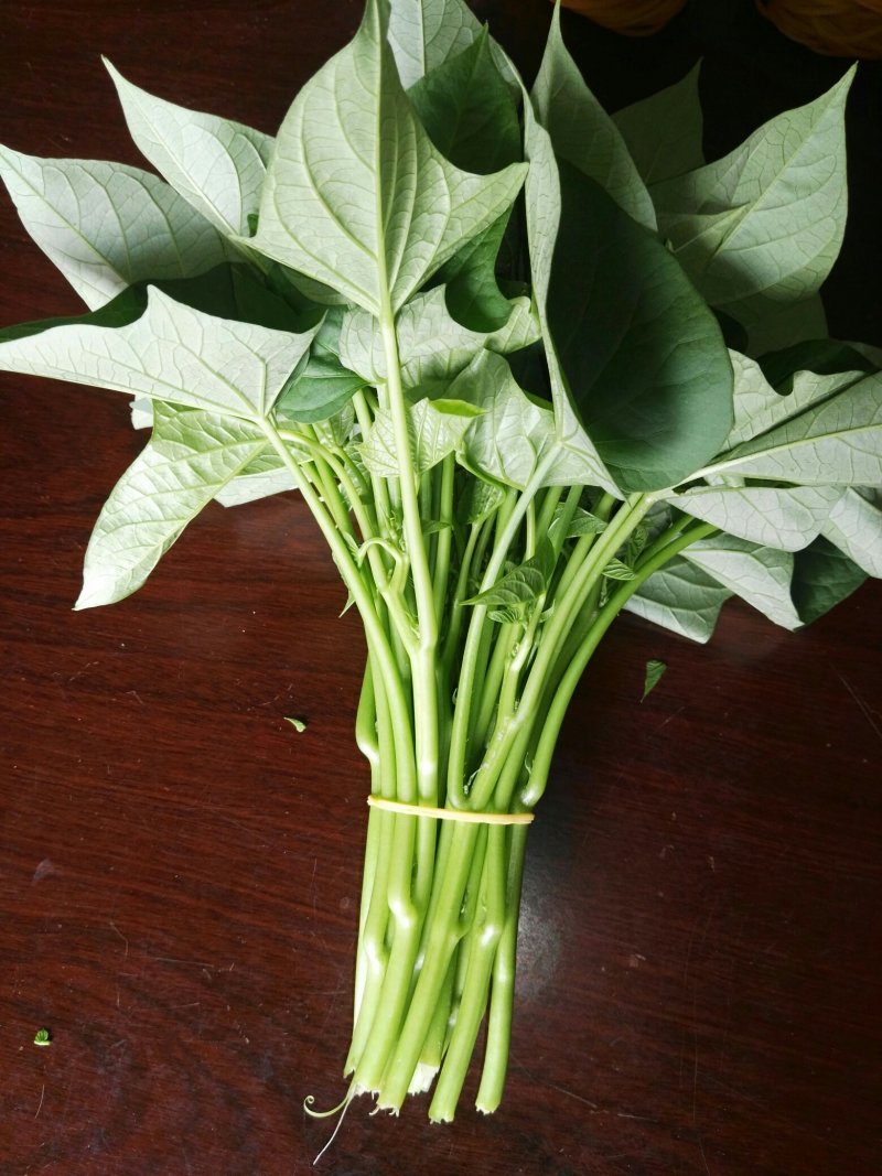 蔬菜～菜用薯尖（红薯叶），种苗供应