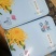 金丝黄菊