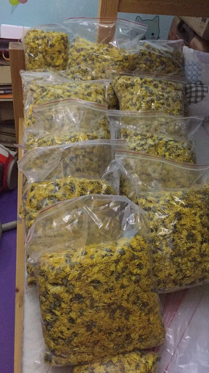金丝黄菊